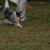 foire-haricots 2011-09-17et18